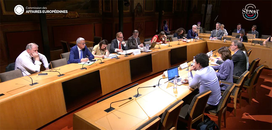 Commission_AUE Remise du rapport d’information relatif au cadre juridique du 28e régime pour les entreprises – « EU Inc. ».